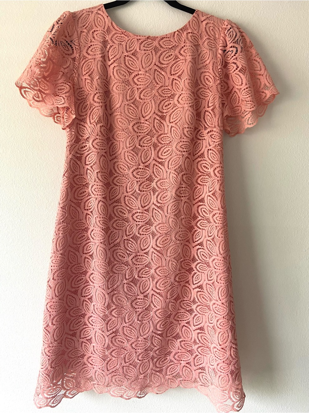 Ann Taylor Factory Pink Lace Shift Dress Flutter Sleeve Size 6